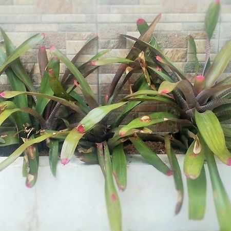 Homestay Bumi Asri III Cikutra Bandung Ngoại thất bức ảnh